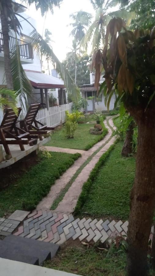 Petit Guest House Negombo Extérieur photo